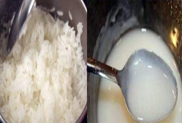 https://www.dhakaprotidin.com/wp-content/uploads/2021/01/Rise-Dhaka-Protidin-ঢাকা-প্রতিদিন.jpg